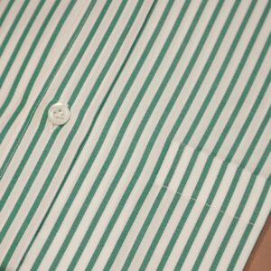 Green Stripe Oxford Shirt